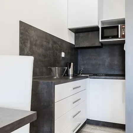 Guest house Hotel Apartments Benesova 6